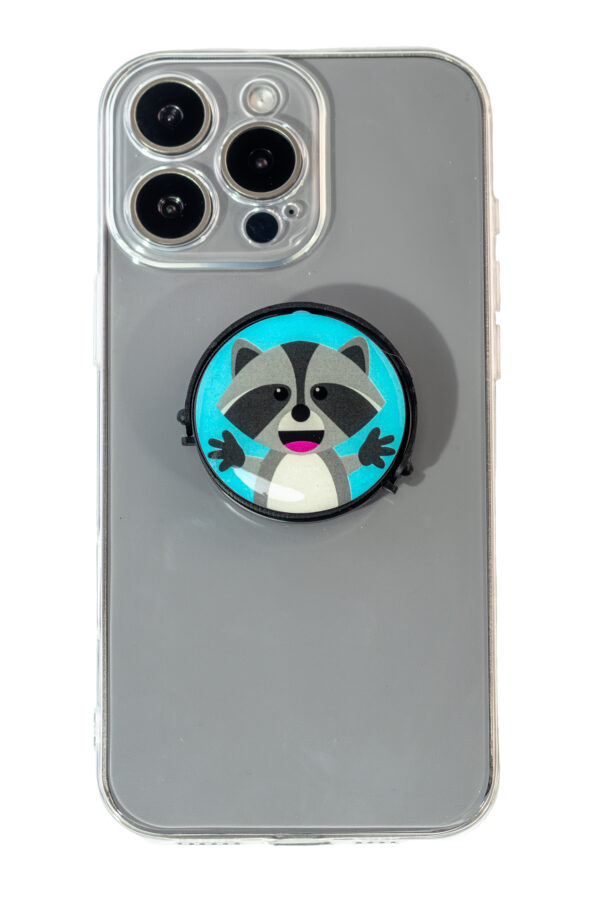 _MG_2587 Mapache Pedro