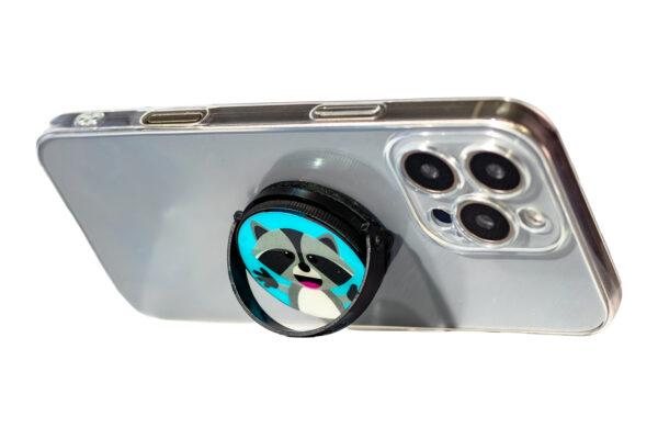 _MG_2687 Mapache Pedro